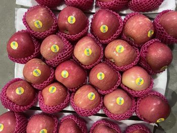 Chinese Fuji Apple from MAJESTIC ORCHARD Chinese Fuji Apple - MAJESTIC ORCHARD - United States