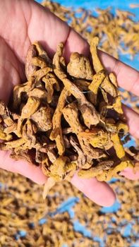Whole Turmeric Finger (Double polished) - CV. Sekawan Cipta Dinar - Indonesia