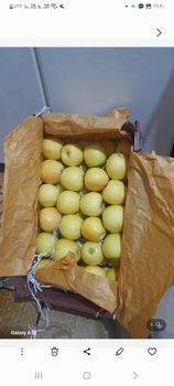 Apples - Hasan - Iran
