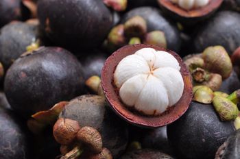 Fresh Mangosteen Size 45 – 75 Mm Acidity 0.5 – 1.2% Relative Humidity 85 – 90% Texture Juicy, Tender Pulp Pathogenic Bacteria Absent - BF GLOBAL TRADING (PTY) LTD - South Africa
