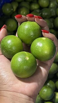 Fresh Lemon / Lime Thailand Grade A,B,C Texture Firm Fruit Weight 60 – 90 G Fruit Size 4.5 – 6.5 Cm Seed Count 3 – 6 Per Fruit - Smile Land Agro - Thailand