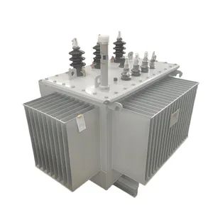 1000kVA High Voltage Low Voltage Electric Power Transformer Manufacturer - Zhejiang Guangbian Electric Power Technology Co., Ltd - China