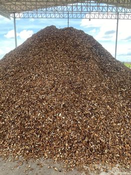 Wood Chips - Verde AG Wood - Thailand