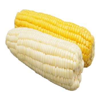 Pure Natural Yellow Corn High Nutrition Whole Corn Cheap Bulk Wholesale Price from A.C.P. AGRICULTURE COMPANY LIMITED Pure Natural Yellow Corn High Nutrition Whole Corn Cheap Bulk Wholesale Price - A.C.P. AGRICULTURE COMPANY LIMITED - Thailand