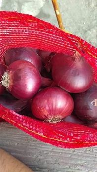 Red onion - S.K.Y GROUP For import and export - Saudi Arabia