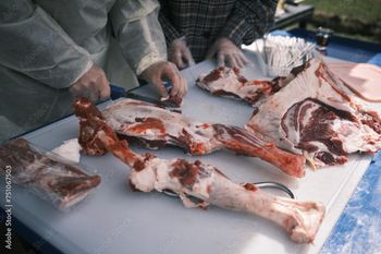 Goat Meat Grade A Type Fresh Goat meat Cultivation Type Organic Texture Fresh, Tender, Juicy Quality Free From Preservatives Or Additives - ADWA Solutions LLC - United States