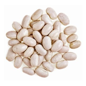 Organic Great Northern Beans - Njang Investments Limited - Kenya
