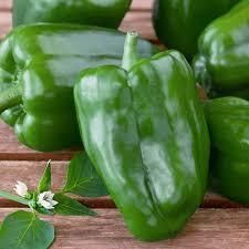 Green Bell Peppers - VGE Vegetables Global Export - Vietnam
