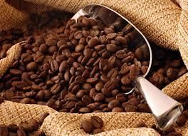 Premium Arabica Coffee Beans Size 8-12 mm Type 100% Arabica Packaging 25kg burlap bags Shelf Life 12 months when stored in a cool, dry - CGE Coffee Global Export - Vietnam