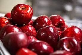 Fresh Red Apples - FGE Fruit Global Export - Vietnam