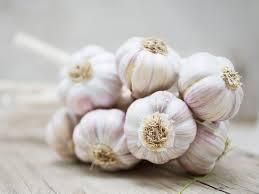 Garlic Well package Fresh and dried Process and raw form  – product photo, Fresh Black Garlic products found from trusted suppliers, wholesalers, manufacturers & exporters Listing