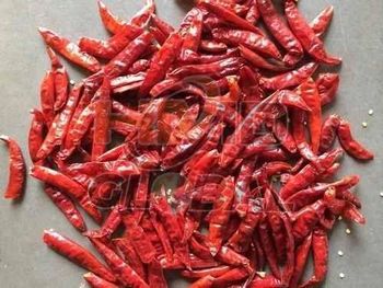 Dried Red Chili - HMD Global Trading and Logistics Services Private Limited - India