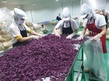 Dried Purple Sweet Potato from Vietnam Type Dried Shape cylindrical Place of Origin - QHD International Trading - Vietnam