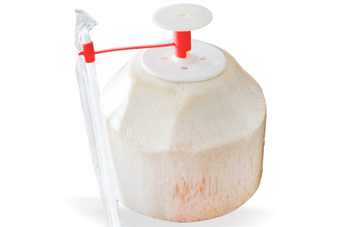 Fresh Coconut - SSB Holdings JSC - Vietnam