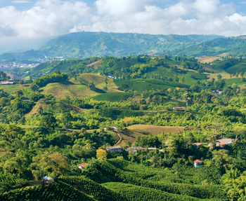 帽子 See No Evil Studded Mesh Cap \"Black\" mmmii3です。 X-Axis Extension Kit 8040 for Masuter 3S