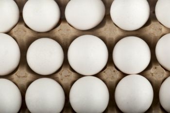 Chicken Eggs from STERNA Chicken Eggs – product photo, Frozen Chicken Eggs products found from trusted suppliers, wholesalers, manufacturers & exporters Listing