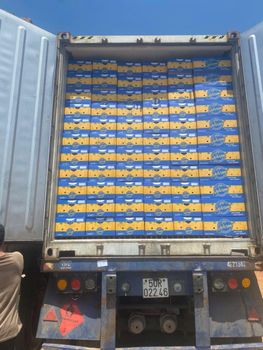Canvendish Banana – product photo, Fresh Cavendish Bananas products found from trusted suppliers, wholesalers, manufacturers & exporters Listing