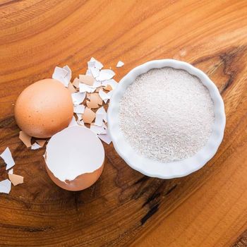 Processed Egg Shell Powder High Purity Calcium Source for Industrial and Agricultural Applications - S-SQUAD - France
