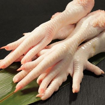 Premium Grade A Frozen Chicken Feet for Export – Cleaned, Processed, Quality Inspected & Ready for International Bulk Supply to Asia, Middle East and African Markets from jbssa Premium Grade A Frozen Chicken Feet for Export – Cleaned, Processed, Quality Inspected & Ready for International Bulk Supply to Asia, Middle East and African Markets - jbssa - Brazil