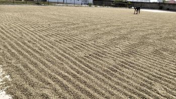 AGRO MAKI PLUS DOOEL ST NARODEN FRONT N - Freshdi