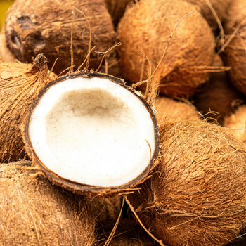 Coconut Derivatives - PT Vale Agrovia Nusantara - Indonesia
