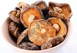 Dehydrated Mushrooms – product photo, Mushrooms products found from trusted suppliers, wholesalers, manufacturers & exporters Listing