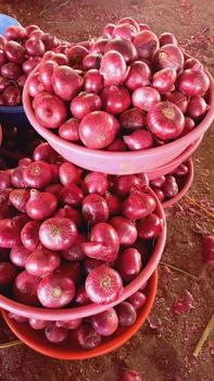 Red Onion – product photo, Dried Red Onion products found from trusted suppliers, wholesalers, manufacturers & exporters Listing