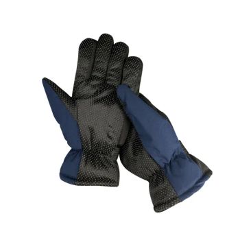 China Factory Other Sports Gloves Touch Screen Winter Sport Gym Gloves, Black Cycling Windproof Gloves - Hunan Dingguan Industry and Trade Co., Ltd. - China