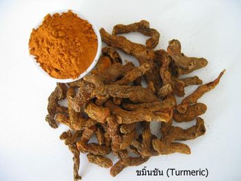 Dried Turmeric (Whole/Powder) - Pongsamutthara - Thailand