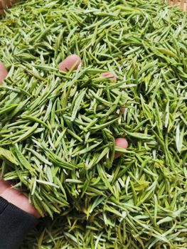 green tea - HK JINYIDA TRADING CO.,LIMITED - Hong Kong