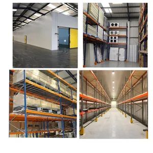 Fruit and Vegetable Grow Room Cold Storage Cold Room Coldstorage Equipments - Zhejiang Damai Cold Chain Equipment Co., Ltd. - China