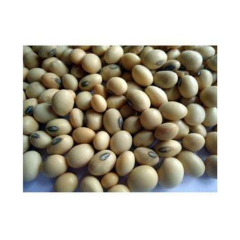 Brazil Agrofrozenchickenexports.com - AGROSTREAM EXPORTS AND IMPORTS PTY LTD - South Africa
