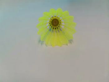 Nylon Badminton Shuttlecock Manufacturer 6PCS Feather Badminton Shuttlecock Durable Training Nylon Shuttlecock - ANHUI TINGCHENG IMP & EXP TRADE CO., LTD. - China