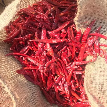 Natural Cayenne Pepper Ground Spice With Rich Aroma Strong Heat Profile For Retail Packaging And Bulk Distribution - TOSOH INTERNATIONAL - South Africa