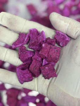 freeze dried red dragon fruit - Takichi - Vietnam
