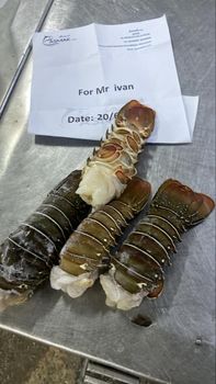 lobster tails – product photo, Lobster products found from trusted suppliers, wholesalers, manufacturers & exporters Listing