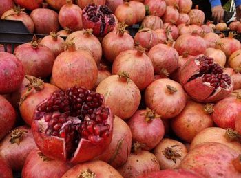 Fresh Pomegranates from Al kurki Fresh Pomegranates - Al kurki - Iraq