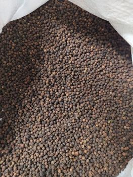Black Pepper 580 gl - Sneha Agro Products - Bangladesh