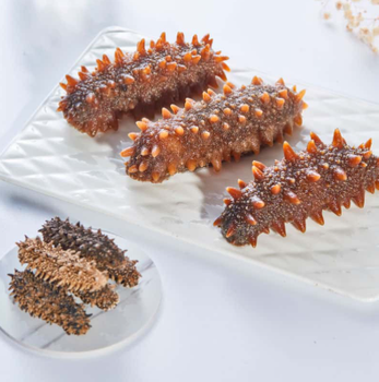 Premium Dried/Frozen Sea Cucumber – Wild Caught, Cleaned, Export Quality for Wholesale Supply - TRADE NEPAL LLC - United States