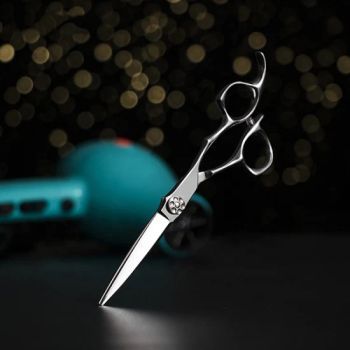 Professional Quality Hairdressing Stylist Hair Cutting Scissors - Hangzhou Longwin Industry Limited - China
