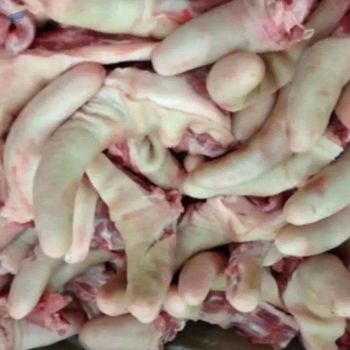 Fresh Frozen Pork Tail with LQF Process Spainish Origin 24 Months Shelf Life and Bulk Packaging - Industrias Carniças Montronill SAU - Spain
