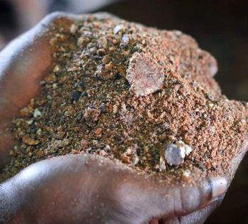 Palm Kernel Cake Seeds Natural Animal Feed - GIFEX AGRO TANANZIA LIMITED - Tanzania