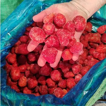 Fresh Strawberry Shape Whole Weight 10 Kg Style Frozen Packaging Bulk Type Strawberry Storage Type Iqf Freezing Process - GOLDEN STAR BV - South Africa