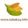 Product - TABAK24 - Germany