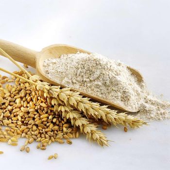 Buy Refined Wheat Flour Online – High Grade Wheat Flour for Baking, Bread Making, Pastries, Cakes and Cooking – Smooth Texture, Naturally Rich in Carbohydrates and Protein – Produced from Carefully Selected Wheat Grains and Available in Bulk Packaging for Global Buyers - agroturaspzoo - Poland