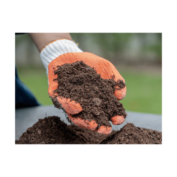 Peat moss fast delivery wholesale supply for gardening applications Wholesale peat moss bulk export from Koto Global Trade SPRL Peat moss fast delivery wholesale supply for gardening applications Wholesale peat moss bulk export - Koto Global Trade SPRL - Belgium
