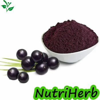Super Food 100 Natural Organic Acai Berry Juice Powder Healthy Ingredients - Nanjing NutriHerb BioTech Co., Ltd. - China