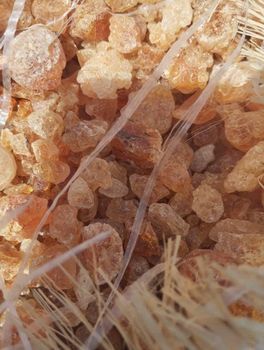 Arabic Gum - Aloloa Elkhadra for import and export - Sudan