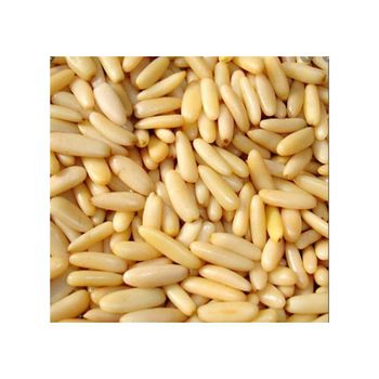 Nature Pine Nuts Wild Pine Nuts Organic Pine Nuts Kernels With Shells from AMAC GOLD AND DIAMOND METALS SUPPLIER Nature Pine Nuts Wild Pine Nuts Organic Pine Nuts Kernels With Shells - AMAC GOLD AND DIAMOND METALS SUPPLIER - Germany