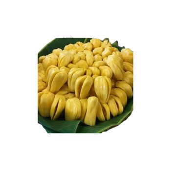 Best Quality Indonesian Frozen Jackfruit with High Quality yellow Wholesale in large quantities - LAKSANA INDO SUBUR PT - Indonesia